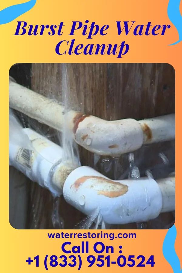 Burst Pipe Water Cleanup in Leavenworth, KS